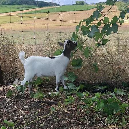 בית נופש Charmante Maison Pierres 1768 *