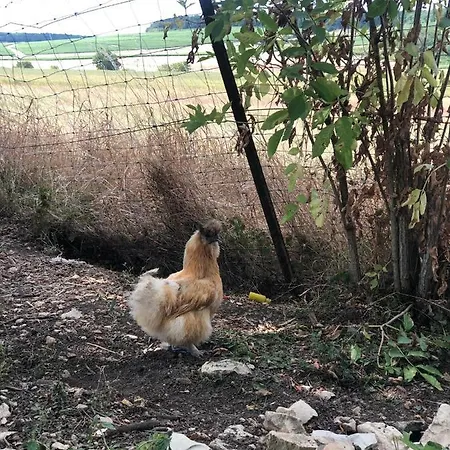 Charmante Maison Pierres 1768 בית נופש *