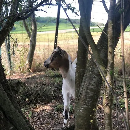 Charmante Maison Pierres 1768 *