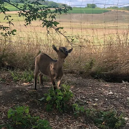 Charmante Maison Pierres 1768 Nyaraló Polisy